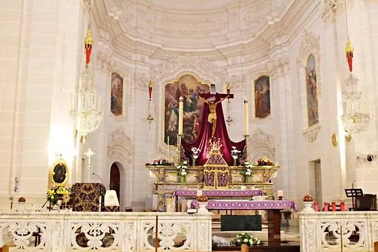 8 North By Petit Chic